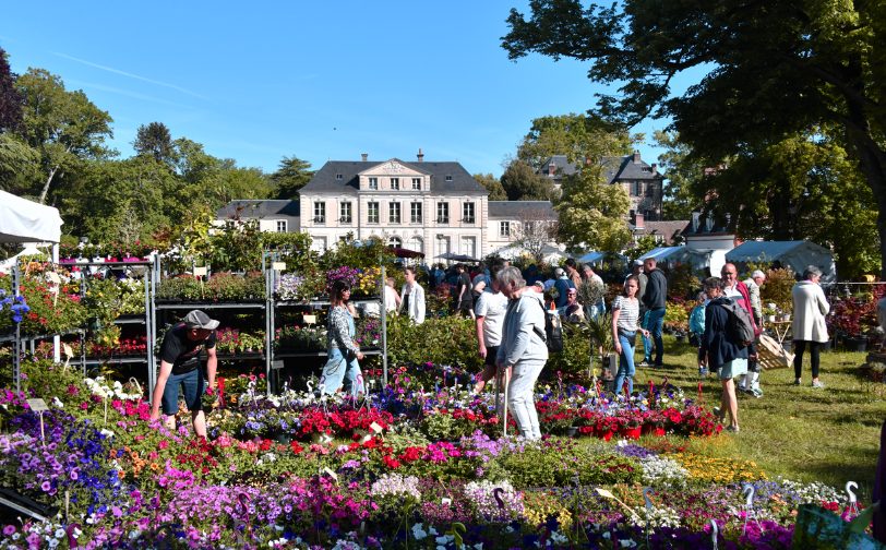 Agrandir l'image, fenêtre modale