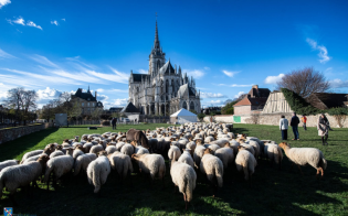 transhumance 2026 - Agrandir l'image, fenêtre modale